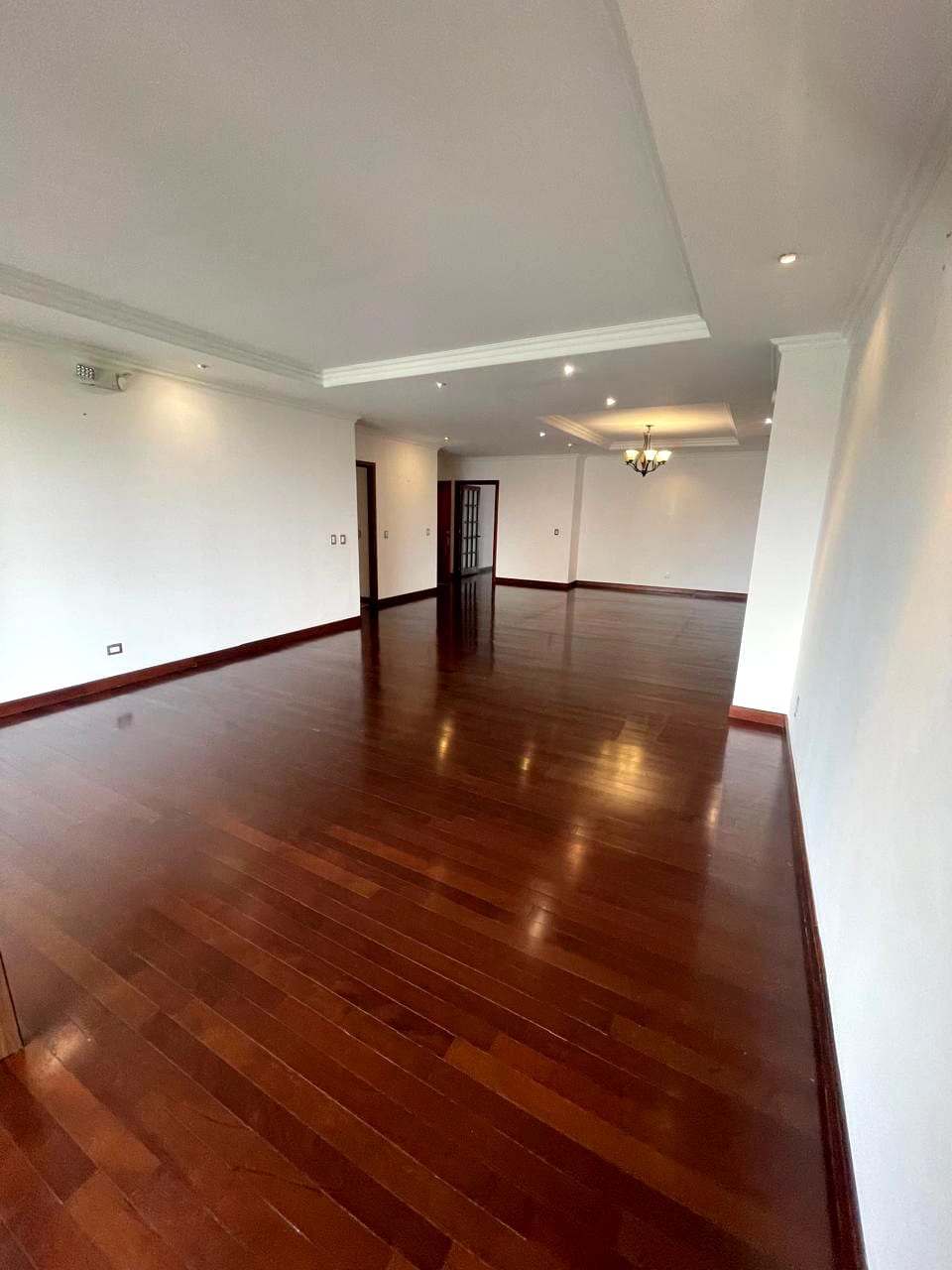 🏢 EN ALQUILER – TADEUS ZONA 14 — foto 13 de 17